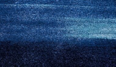 a dark blue area with a white stripe on it